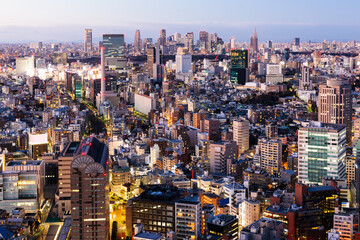 Wall Mural - Beautiful night scene of Tokyo skyline. Tokyo, Japan.