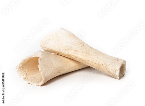 hollow dog bone