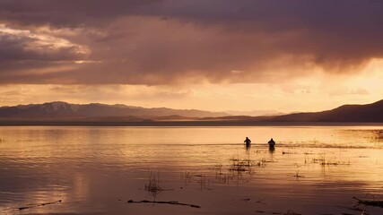 Wall Mural - Fishermen standing in Utah Lake during colorful sunset in late winter.