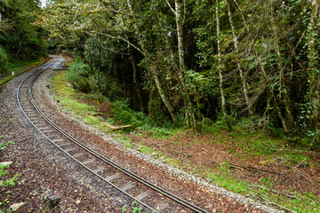 Wall Mural - The Forest Railway passes through the Alishan Forest Recreation Area in Chiayi, Taiwan.