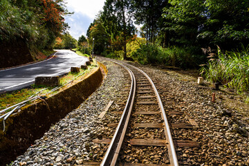 Wall Mural - The Forest Railway passes through the Alishan Forest Recreation Area in Chiayi, Taiwan.