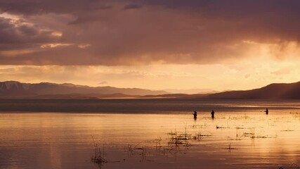 Wall Mural - Rain falling in the distance past fishermen standing in Utah Lake during sunset.