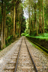 Wall Mural - The Forest Railway passes through the Alishan Forest Recreation Area in Chiayi, Taiwan.