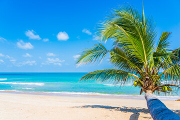 Wall Mural - Beautiful tropical beach sea ocean with coconut palm tree