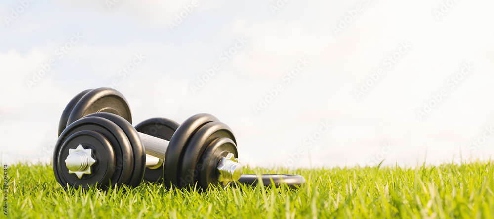 dumbbells stacked on grass in a park. outdoor exercise - obrazy, fototapety, plakaty 