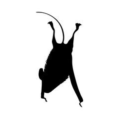 Sticker - Free Tailed Brazilian Bat Silhouette