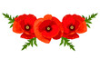 Vector illustration of red poppies for the design of banners, invitations and postcards.