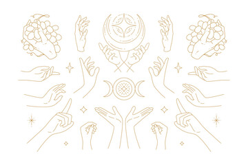 Wall Mural - female hands gestures collection of line art hand drawn style vector illustrations