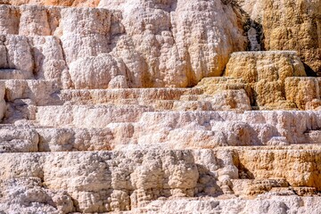 Wall Mural - Travertine Terraces, Mammoth Hot Springs, Yellowstone