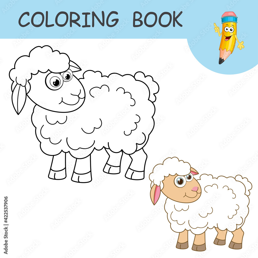 Coloring book with fun character young Sheep. Colorless and color ...