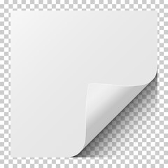 Wall Mural - Sheet of white paper with curled corner and soft shadow. Element for ad. Vector illustration.
