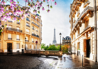 Wall Mural - eiffel tour and paris street
