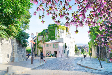 Wall Mural - cityscape Mont Matre , Paris, France