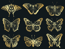 Golden Butterflies. Shiny Gold Decorative Butterflies Silhouettes, Beautiful Insect Wings Vector Illustration Icons Set. Abstract Golden Butterflies