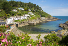 Entrance To Polperro Harbour Cornwall UK With Clear Blue Green Sea And Pink Flowers