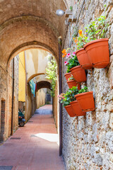 Canvas Print - Flower pots hanging on a wall in a alley