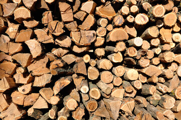 Fototapete - Texture of wooden logs