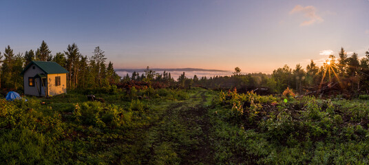 Wall Mural - sunrise in the forest