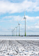 snow over the meadow in the flevo polder with a few windmills