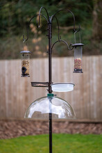 Bird Feeders On Black Ornamental Decorative Black System Pole Set Up With A Clear Domed Squirrel Baffle Erected In A Garden