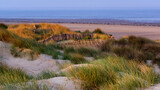 Fototapeta  - Coastal Dune Protection in the Cotentin coast.