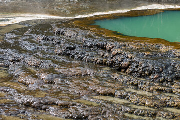 Waimangu Volcanic Valley, New Zealand