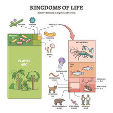 Kingdoms Of Life As Labeled Biological Nature Classification Outline Diagram