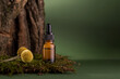Cosmetic bottle with dropper on a wooden bark, moss decorated with dry Craspedia Billy Balls. Pine tree essential oils on green background.