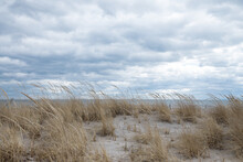 Sand Dunes On The New Jersey Coastline With Sea Oats.