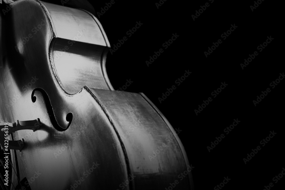 Double bass. Contrabass classical music instrument - obrazy, fototapety, plakaty 