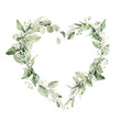 Watercolor floral wreath of greenery. Hand painted frame heart of green eucalyptus leaves, forest fern, gypsophila isolated on white background. Botanical illustration for design, print
