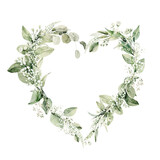 Fototapeta  - Watercolor floral wreath of greenery. Hand painted frame heart of green eucalyptus leaves, forest fern, gypsophila isolated on white background. Botanical illustration for design, print