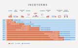 Fototapeta Dinusie - incoterms rules chart, for logistics imports and exports