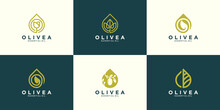 Olive Oil Logo Collection Design Template