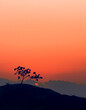 Bright red sunset with tree silhouette on rocky stone, Koh Phangan, Thailand