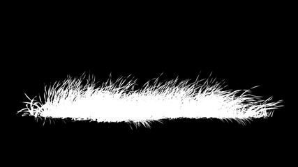 Wall Mural - grass wind loop with alpha channel. easy to use and change color you can place on footage or backgro