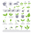 © Yuliya Ponomareva - Sprouts icons set. Plant growth stages, seedlings. Seeds sprout from the ground. Leaves, germination, bio, eco, gardening, plant growing, planting, organic. Flat vector illustration.