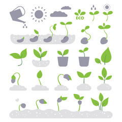 Sprouts icons set. Plant growth stages, seedlings. Seeds sprout from the ground. Leaves, germination, bio, eco, gardening, plant growing, planting, organic. Flat vector illustration. 