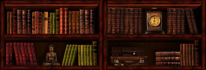 Wall Mural - Bookcase	
