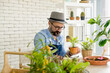 © Orathai - An elderly man handsome with have mustache wearing glasses is happy with tree care. is a hobby of gardening at home, living happily after retirement. Concepts nature and environment