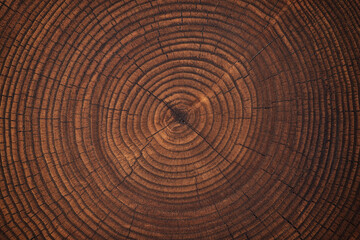 Wall Mural - dark wood texture on a stump cut. annual rings old trunk background