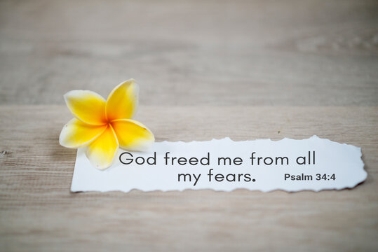 Wall Mural -  - Bible verse quote - God freed me from all my fears. Psalm 34:4 . Spiritual or religious inspirational text message on white paper note with a yellow frangipani spring flower on white background.