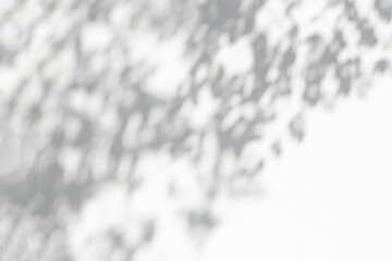 Aufkleber - Tree shadow and leaf branch with light bokeh blur background. Nature leaves tropical jungle tree branch dark shadow dappled on white concrete wall texture