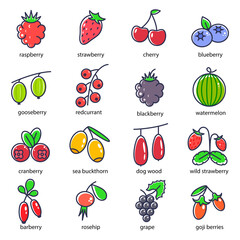 Poster - Berries Sign Color Thin Line Icons Set. Vector