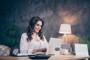 Poster - Photo of nice optimistic brunette curly hairdo lady wear spectacles white shirt work laptop alone at home