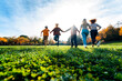 © Davide Angelini - Group of multiracial people holding hands running in the park - Happy friends having fun together outdoor on sunset - People and community concept