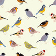 seamless pattern with passerine birds