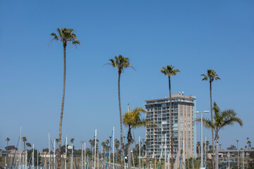 Wall Mural - Daytime view of the marina skyline of Oceanside, California, USA.