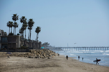 Wall Mural - Afternoon view of palm trees and beach of downtown Oceanside, California, USA.