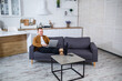 © DSMT - A young successful man is sitting at home on the couch with a laptop and working. Remote work during quarantine.